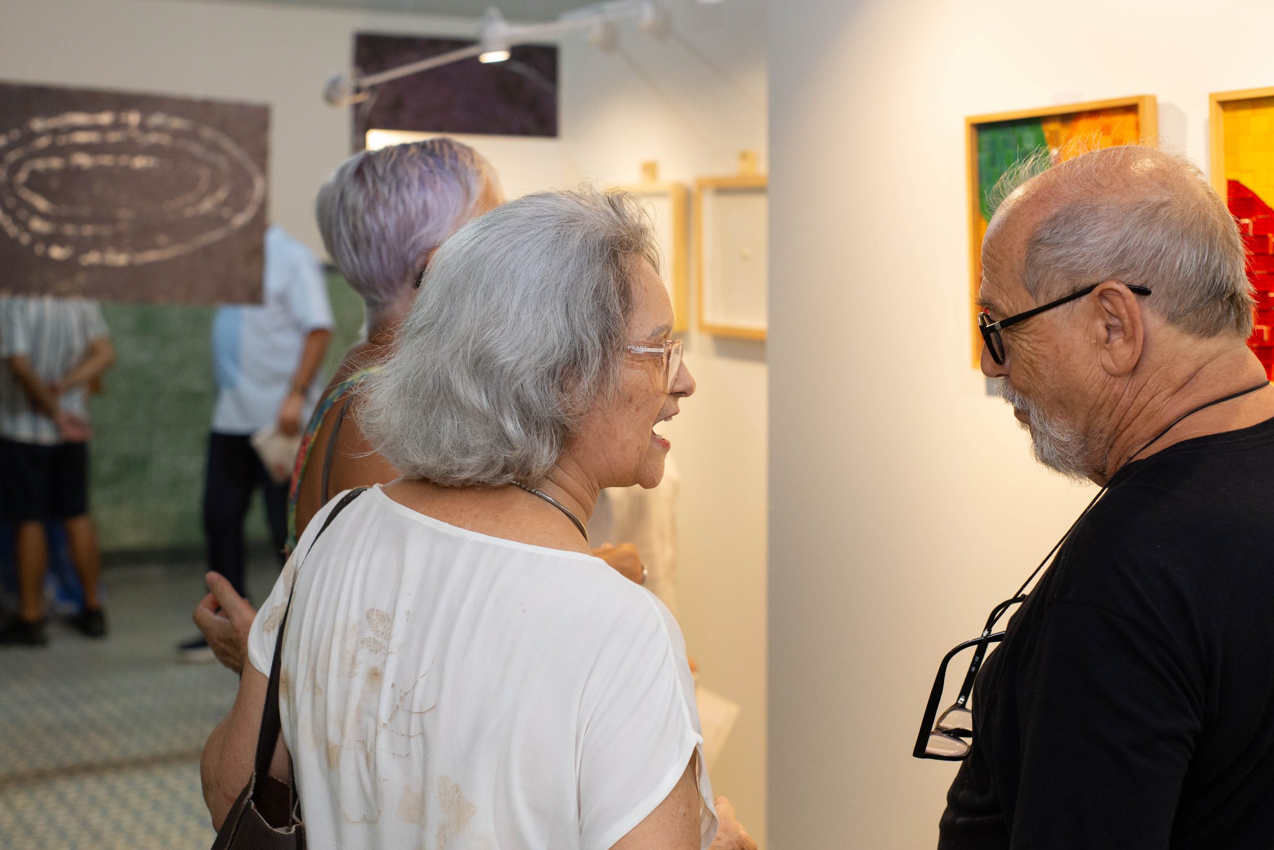 Vernisage – Ocupa Vicentina – Galeria Poente 2-119